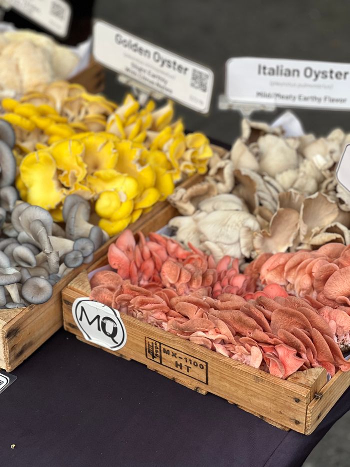 Fresh display of golden, Italian, and pink oyster mushrooms at a market.