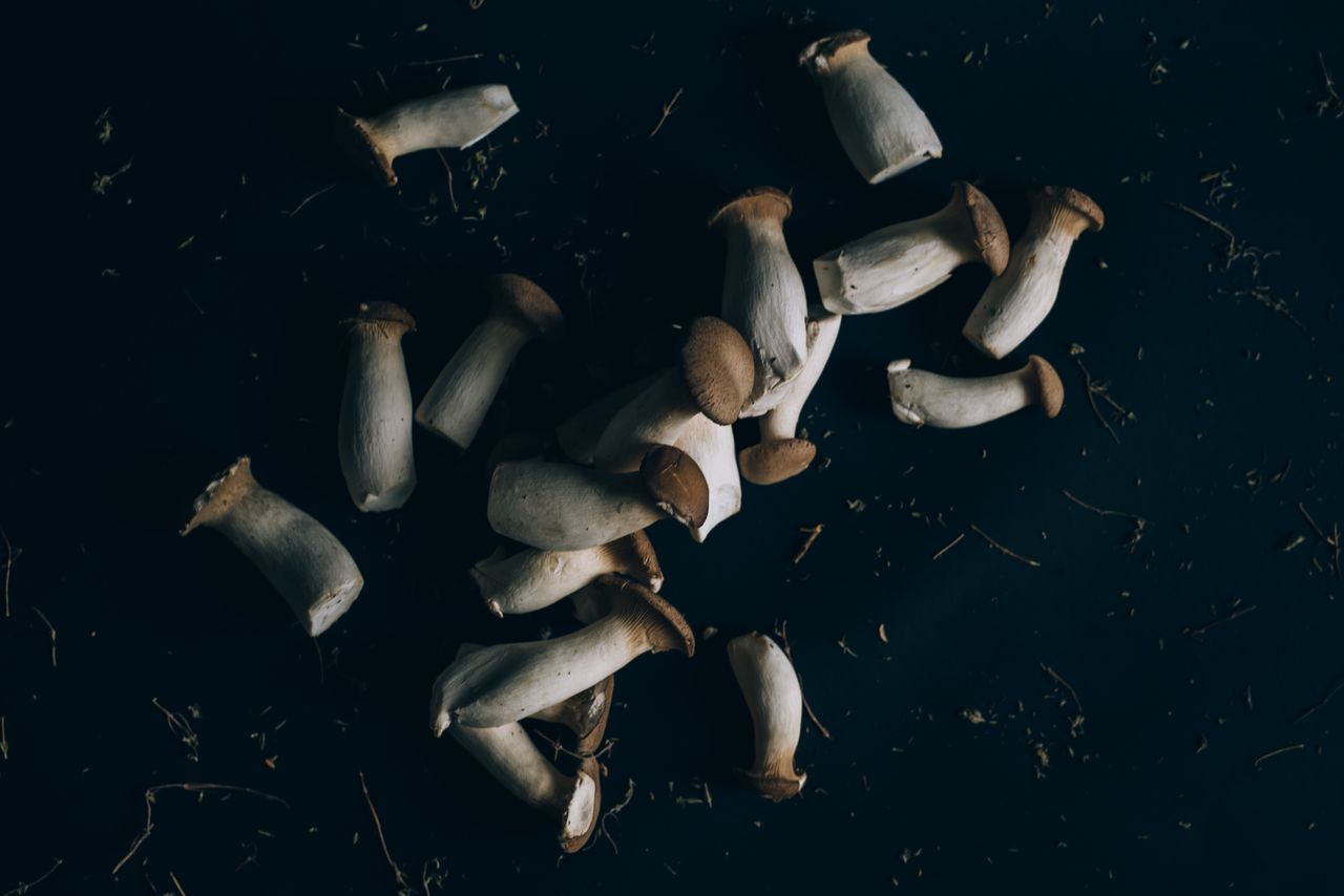 Close-up view of fresh king oyster mushrooms scattered on a dark surface, highlighting their texture.